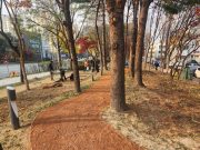 청주시 가경동‧분평동 노후 산책로, 힐링 맨발걷기길로 변신
