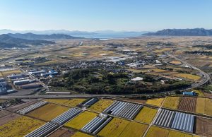 보성군, ‘보성 조성리유적’ 국가유산 지정을 위한 학술대회 개최