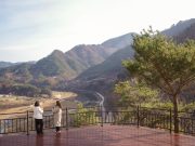 정선군, 천년의 숲 전망대 설치