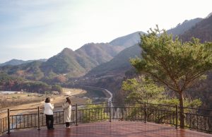 정선군, 천년의 숲 전망대 설치