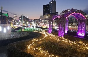 포항 겨울 바다 물들이는 오색의 불빛, 영일대 LED 장미원 새 단장