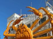 경북문화관광공사 동해선 SNS 영상 대박