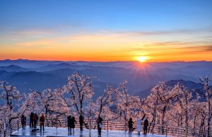 국민고향정선, 가리왕산 케이블카에서 2025년 해맞이 행사 개최