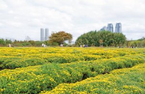한국관광 100선, 울산 대표 관광지 3곳 선정