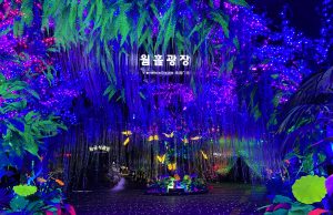 한국 대표 관광명소, 광명동굴 선정