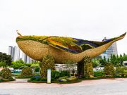 2025고양국제꽃박람회 D-100, 4월 25일 개막