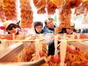 제9회 지리산함양고종시 곶감축제 성황리 개막