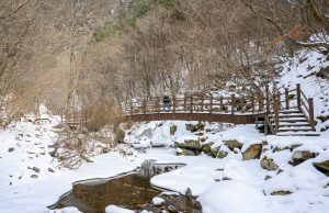 정선 항골 숨바우길, 겨울 힐링 트레킹 코스로 각광