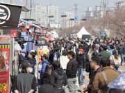 벚꽃과 함께하는 2025 청주 푸드트럭 축제 참여자 모집