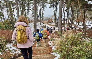 서해선복선전철 개통으로 변화된 ‘홍성’ 관광