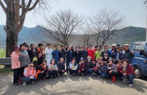 장흥군 용산면, ‘남상천 봄맞이 벚꽃길’ 손님맞이 한창