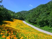 정선군, 30억원 투자해 병방산 산림레포츠 조성사업 추진