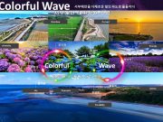 홍성군, 서부해안 컬러로 오감만족 관광도시 각인