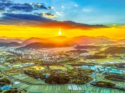 가자, 아라가야 함안으로