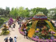 ‘2025 고양국제꽃박람회’ 25일 개막