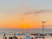 “무심천 벚꽃 감성 소풍 포토존에서 인생 사진 찍으세요”