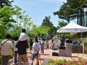 속초시민 대표 휴식공간 노리숲길 숲속마켓, 4월 5일 올해 첫 운영