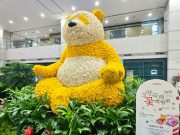 고양국제꽃박람회, 인천국제공항에 ‘황금빛 판다 정원’ 조성