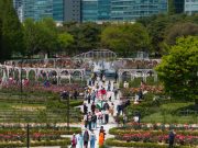 꽃과 사람, 그리고 도시가 피어나는 곳… 2025 고양국제꽃박람회 성황