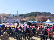 함양 ‘제23회 함양 백운산 벚꽃축제‘ 개최