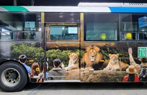 청주시, ‘사자’ ‘바람이’ 버스 타고 청주랜드 오세요”
