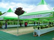 청남대 물든 봄의 정원…‘야생화 봄나들이’ 개막