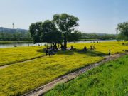 청주시 2025 도시농업 페스티벌, 4일간 6만여명 발길