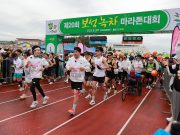 보성녹차마라톤’ 역대급 흥행, 전국 마라토너 1만 명 집결