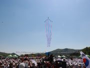 2025 보성통합축제, 성대한 개막