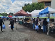 홍성군, 아이와 함께라면 홍성역사인물축제로!