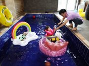 태안군, ‘반려동물 숙박대전’ 개최