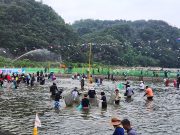 산불 딛고 다시 선 영덕, 황금은어축제로 활력 되찾아