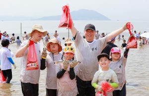 감자·쪽파·전어가 한자리에… 보성전어축제 8월 22일 개막
