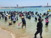 고래불 해변, 한여름 밤의 열기로 달아올랐다