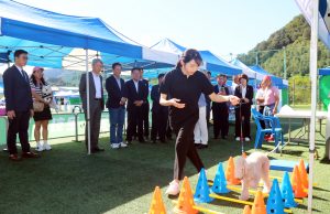 2025 홍천 FCI 국제 도그쇼 & 반려동물 문화축제 개최