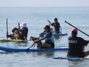 태안군, “만리포에서 반려견과 함께 서핑 즐기세요”