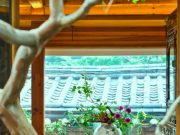 북촌 호경재, 한국 꽃꽂이 전시 ‘여지, 그날의 꽃’ 열려