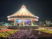 국화 만개한 함평, ‘2025 대한민국 국향대전’ 인기 절정