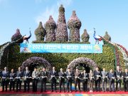 함평군, 국화로 물든 ‘마법의 국향랜드’ 개장