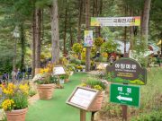 아침고요수목원, 복권기금 지원으로 관광 약자 위한 ‘휴식 공간’ 새단장