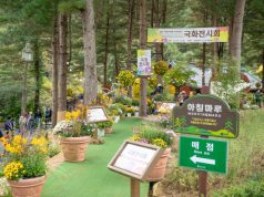 아침고요수목원, 복권기금 지원으로 관광 약자 위한 ‘휴식 공간’ 새단장