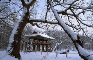 함양군, 2026년 ‘함께 함양’ 체류형 관광 콘텐츠 전략 본격 추진
