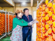 조근제 함안군수, 곶감 농가 찾아 현장 점검