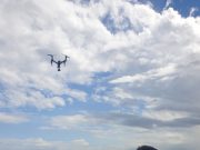 해수부, 설 앞두고 제수용 수산물 불법포획·유통 특별점검