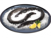 설 앞두고 민물장어 원산지 단속