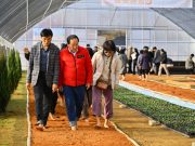 속초시 꽃묘장 맨발 황톳길, 겨울철에도 시민 발길 이어져