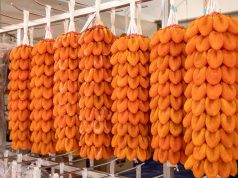 함양군, 지리산함양 고종시 곶감축제 16일 개막