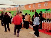 함양군 ‘지리산함양 고종시 곶감축제’ 개막