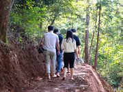 보성군, 읍면별 1개소 ‘맨발산책길’ 조성 본격화