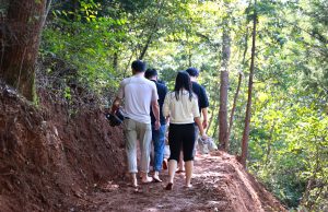 보성군, 읍면별 1개소 ‘맨발산책길’ 조성 본격화